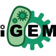 iGEM logo groot.jpg
